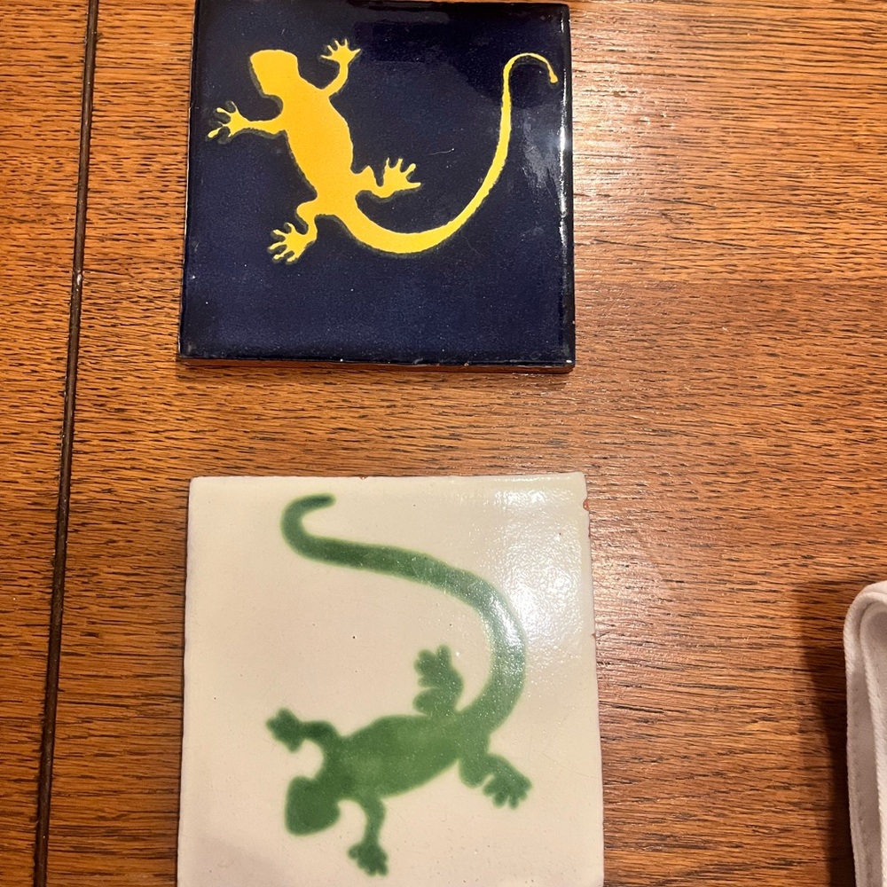 Mexican lizard tiles